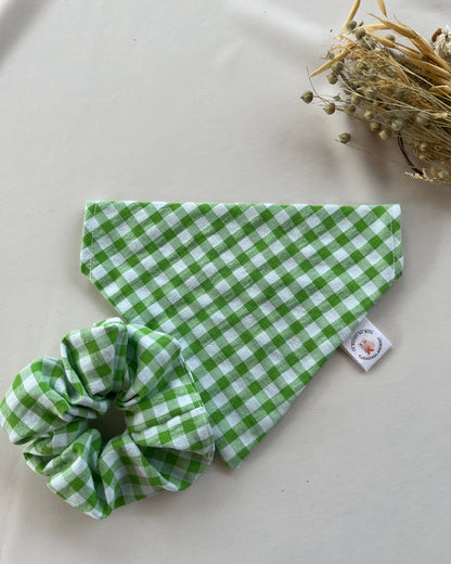 Bandana chien