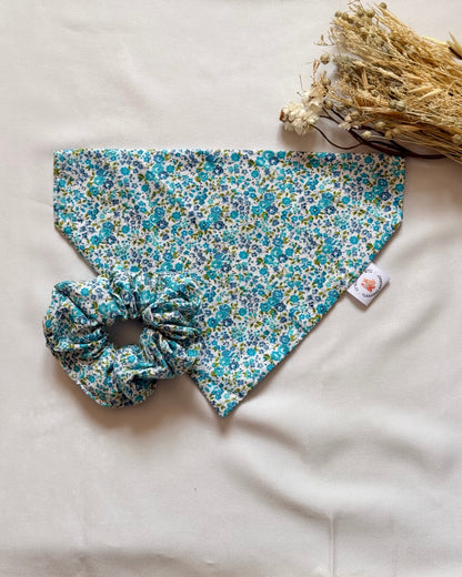 Bandana chien